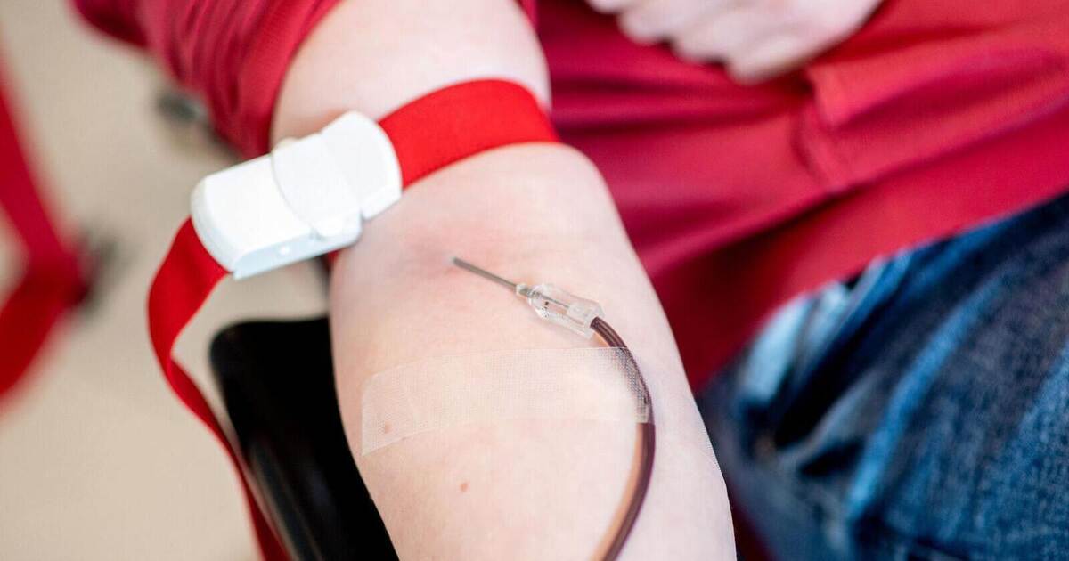 233 blood donations and almost 117 liters of blood: Joachim Hausmann from ...