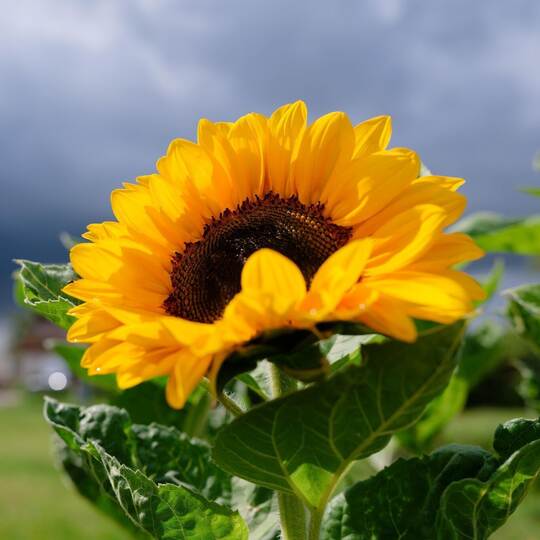 Wetter in Baden-Württemberg