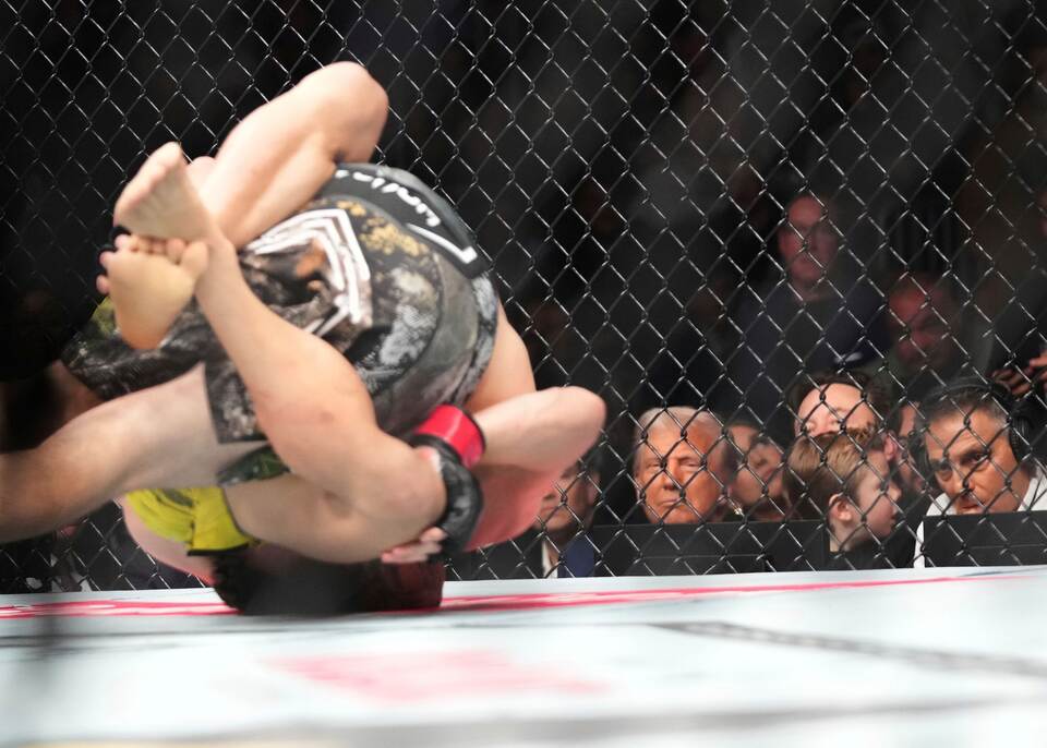 Trump und Musk mit Sohn beim Ultimate Fighting Trump und Musk mit Sohn beim Ultimate Fighting