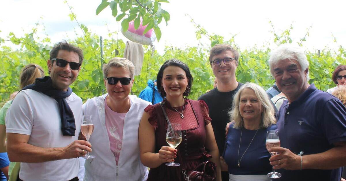 Between vineyards and vintners' huts: Keltern celebrates summer at the ...