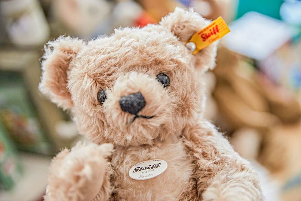 Steiff