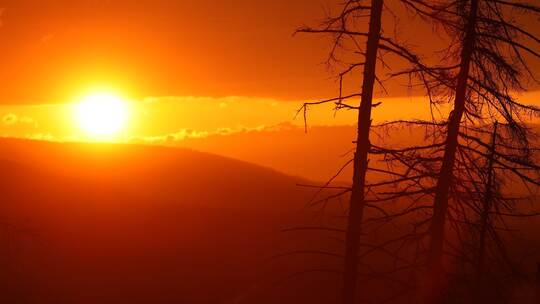 Sonnenuntergang im Harz Sonnenuntergang im Harz