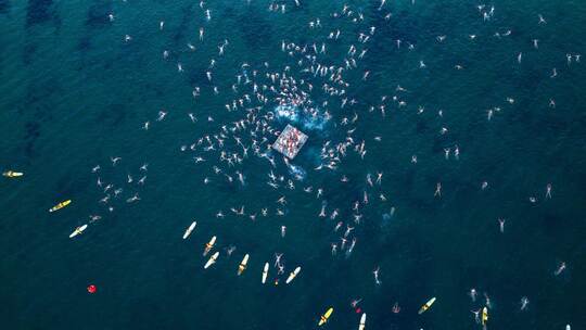 Dark Mofo - Solstice Swim Dark Mofo - Solstice Swim