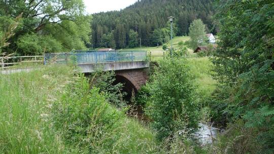 Statt der Brücke über die Große Enz ins Rohnbachtal würde sich hier – wären die Pläne der EVS von 1951 zum Tragen gekommen – woh
