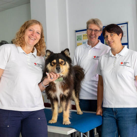 DRK Erste Hilfe Kurs Hunde