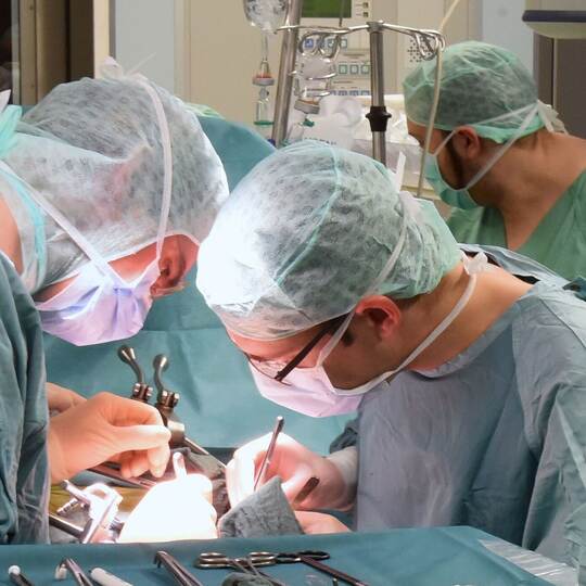 Organspende