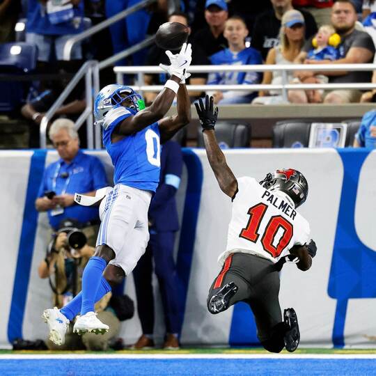 Detroit Lions