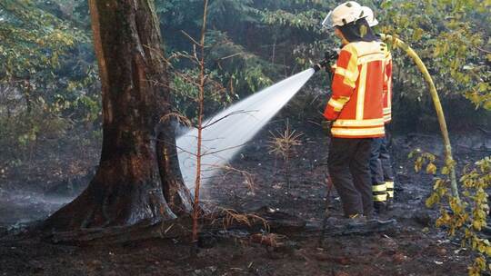 Brand im Hardtwald Brand im Hardtwald