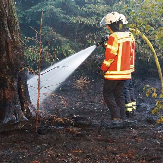 Brand im Hardtwald Brand im Hardtwald