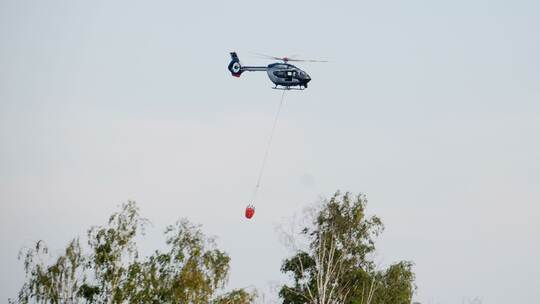 Waldbrand Gohrischheide Waldbrand Gohrischheide