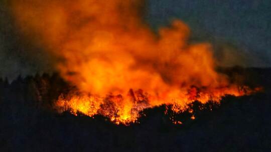 Brand in Waldgebiet mit Kampfmitteln