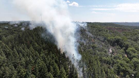 Waldbrand mit Munition in Rheinland-Pfalz brennt