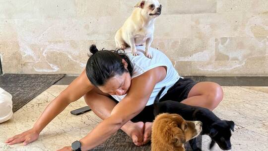 Wellness-Trend Puppy Yoga