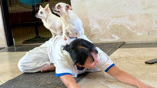 Wellness-Trend Puppy Yoga