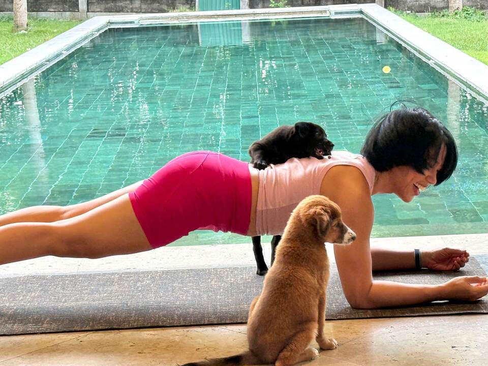 Wellness-Trend Puppy Yoga
