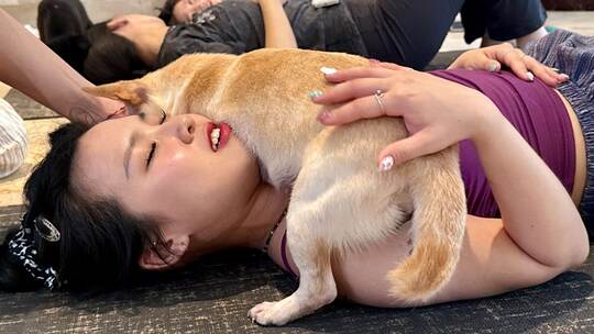 Wellness-Trend Puppy Yoga