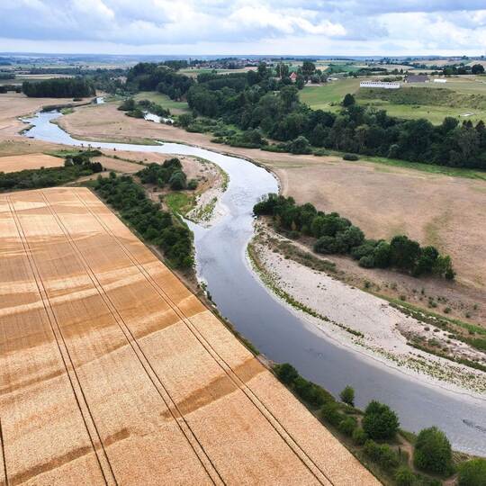Niedrigwasser der Donau