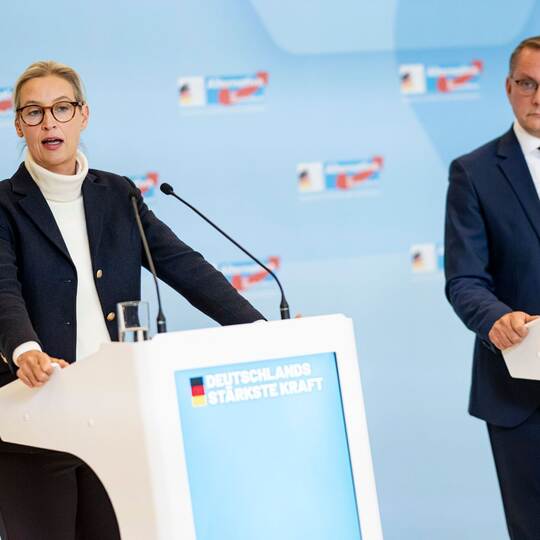 AfD-Chefs Alice Weidel und Tino Chrupalla (Archivbild)