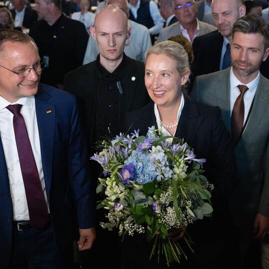Bundesparteitag der AfD