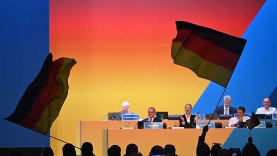 Bundesparteitag der AfD
