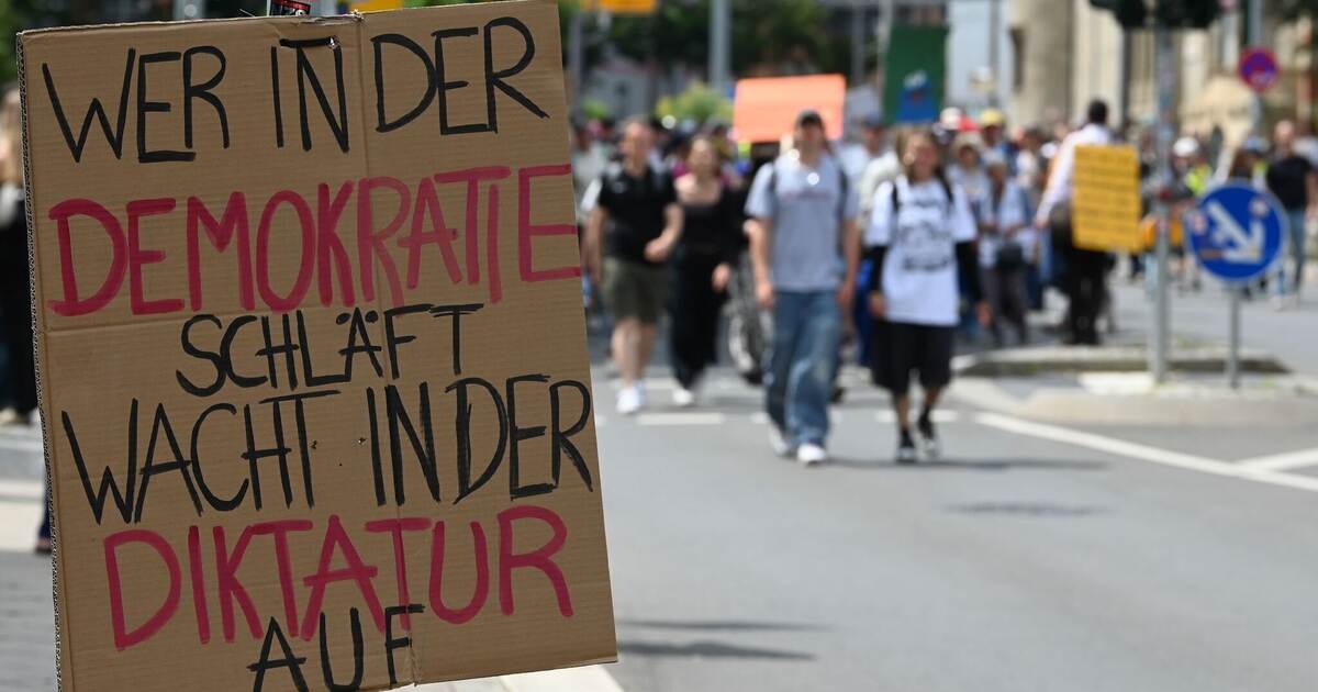 Tausendfacher Protest gegen die AfD - Spitzenduo bestätigt