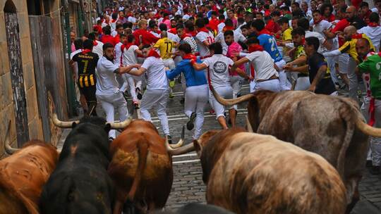 Stierlauf in Pamplona Stierlauf in Pamplona