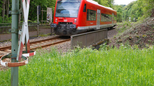 Die Kulturbahn nach Calw passiert den stillgelegten Haltepunkt Dillstein, den die Eisenbahnfreunde Pforzheim und der Bürgerverei
