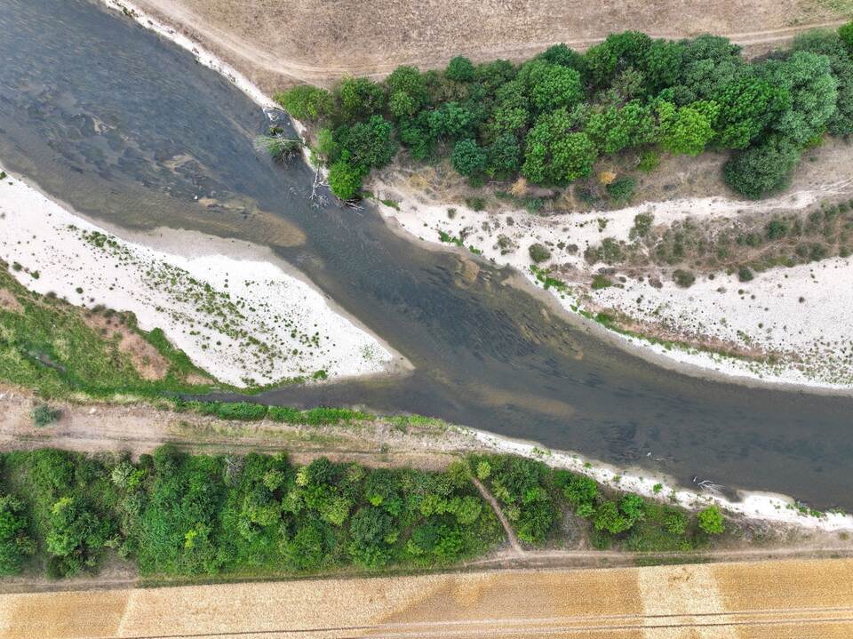 Niedrigwasser der Donau Niedrigwasser der Donau
