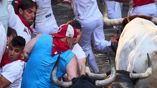 Fiesta San-Fermin in Pamplona Fiesta San-Fermin in Pamplona