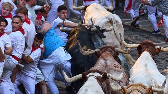 Fiesta San-Fermin in Pamplona Fiesta San-Fermin in Pamplona
