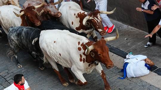 Fiesta San-Fermin in Pamplona Fiesta San-Fermin in Pamplona