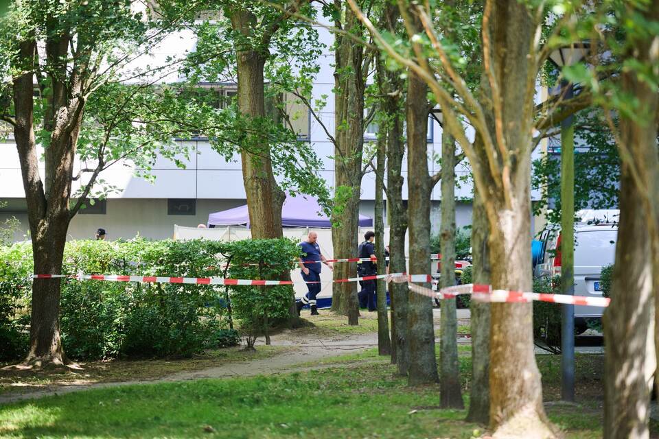 Totes Baby in Lichterfelde entdeckt Totes Baby in Lichterfelde entdeckt