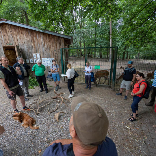 Schwarzwaldguide Tour Wildpark