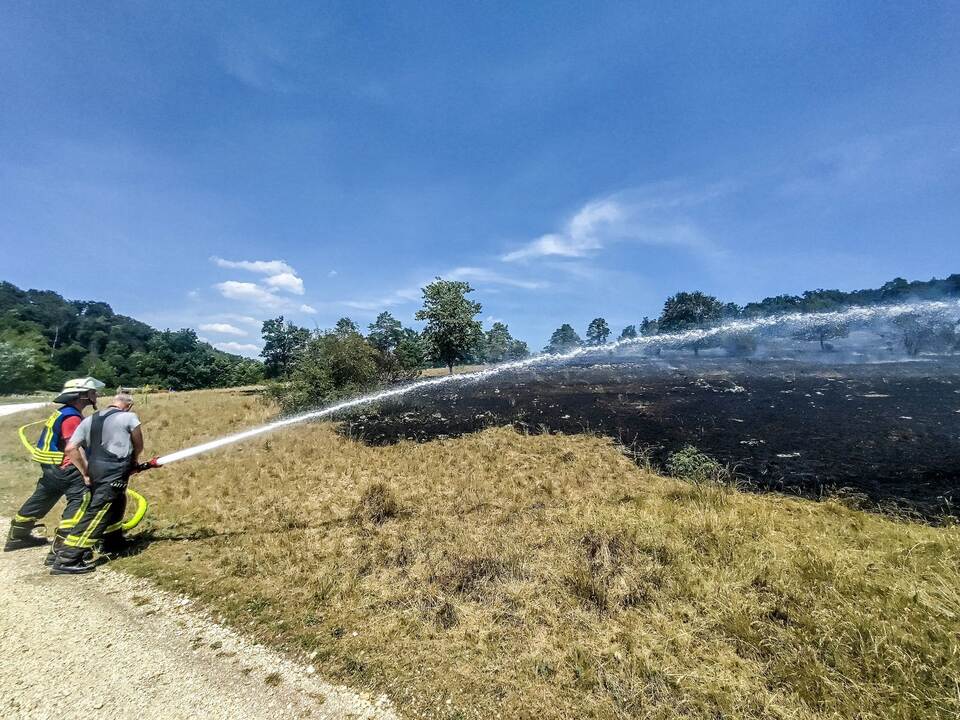 Flächenbrand Flächenbrand