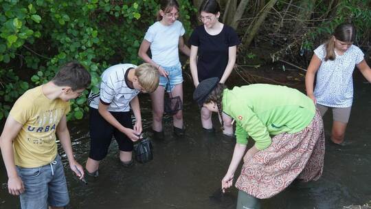 Vorsichtig und aufmerksam suchen die Achtklässler der Steiner Heynlinschule im Kämpfelbach nach Lebewesen. Was sie finden, unter