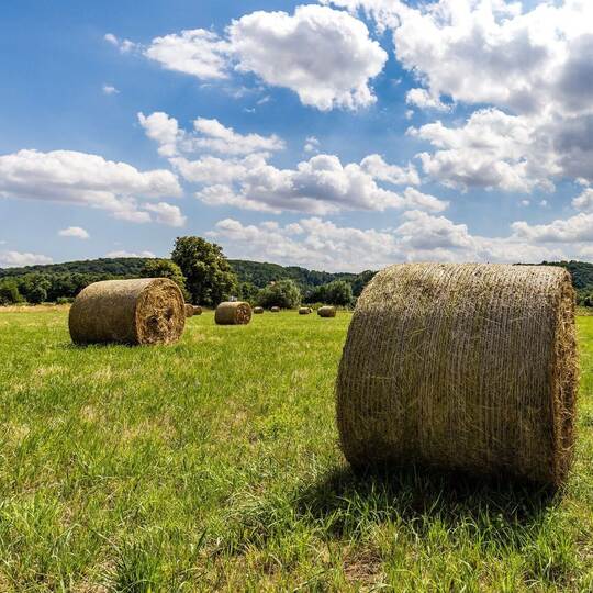 Heuballen auf einem Feld