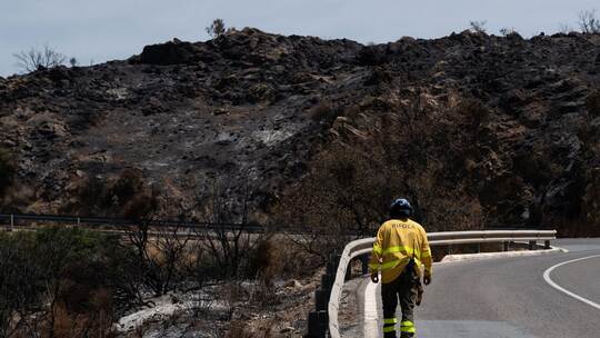 Waldbrand in Andalusien Waldbrand in Andalusien
