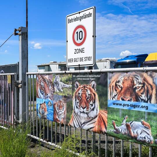 Pfleger stirbt nach Tigerangriff nahe Leipzig – Ermittlungen