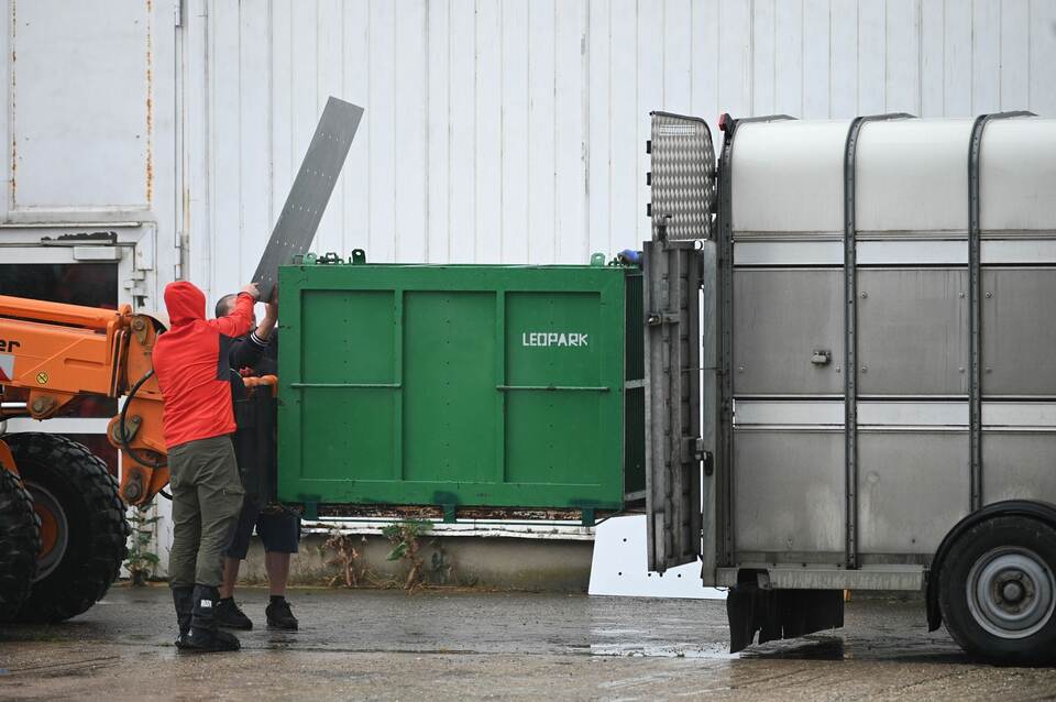 Pfleger stirbt nach Tigerangriff nahe Leipzig – Ermittlungen Pfleger stirbt nach Tigerangriff nahe Leipzig – Ermittlungen