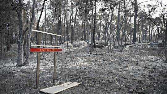 Waldbrand bei Paris Waldbrand bei Paris