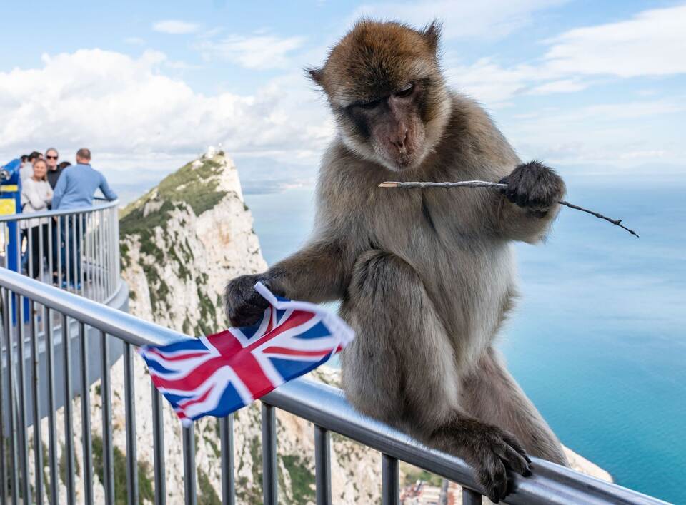 Gibraltar Gibraltar