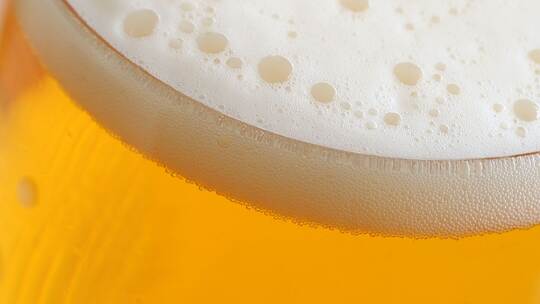 Bier