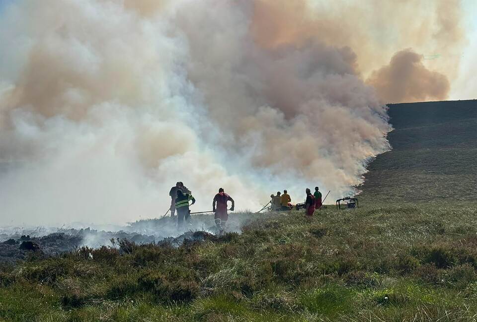 Flächenbrand in Nationalpark in Schottland Flächenbrand in Nationalpark in Schottland