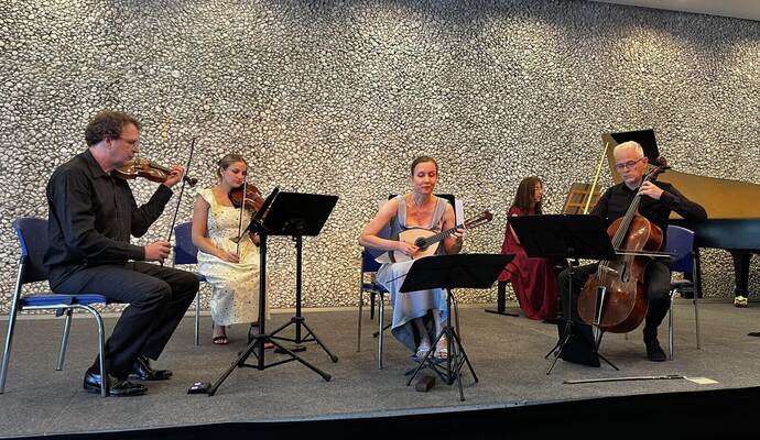 Pforzheimer Musiksommer: Im Zentrum steht die Mandoline