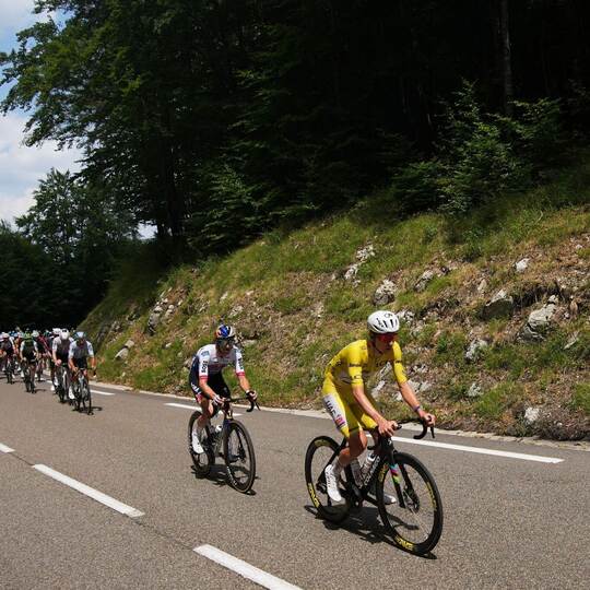 Radsport: Tour de France