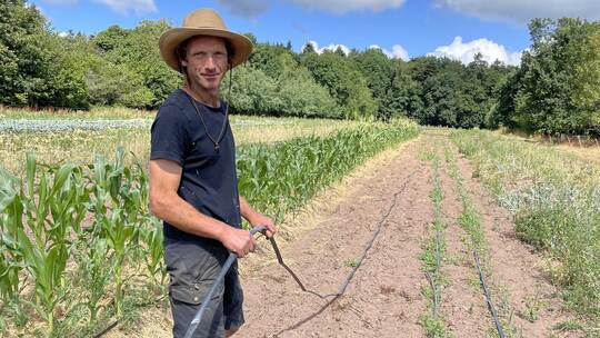 Mathias John vom Ulmenhof in Unterlengenhardt verlegt Tropfschläuche, um seine Pflanzen zu retten. Foto: Läuter