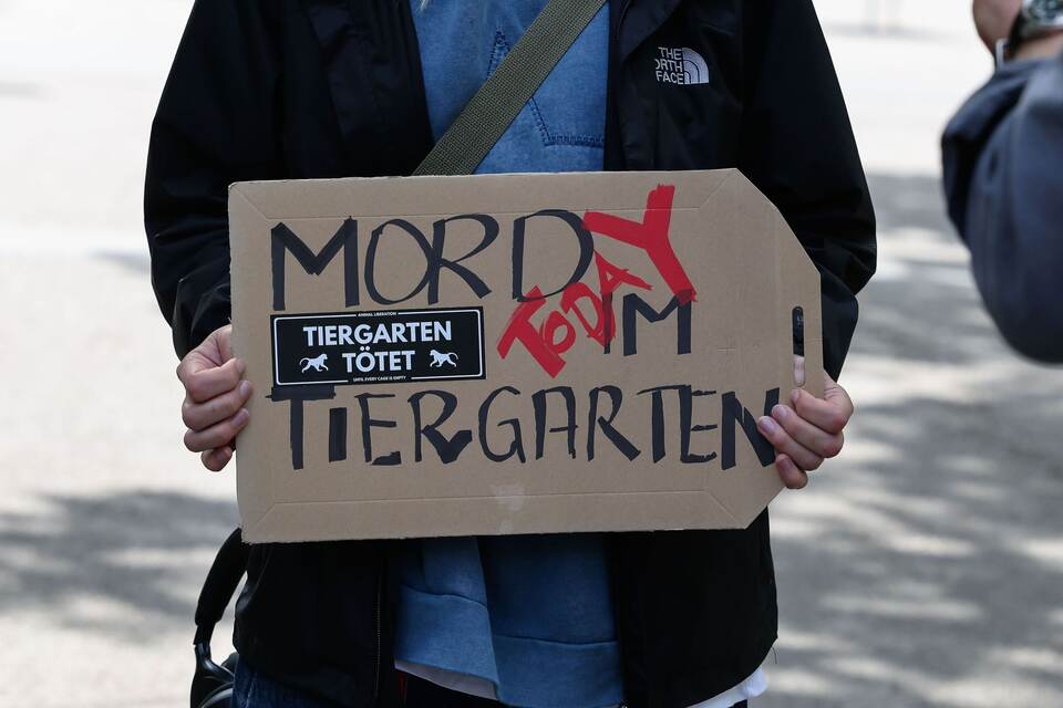 Debatte über Pavian-Tötung - Tiergarten ein Tag geschlossen Debatte über Pavian-Tötung - Tiergarten ein Tag geschlossen