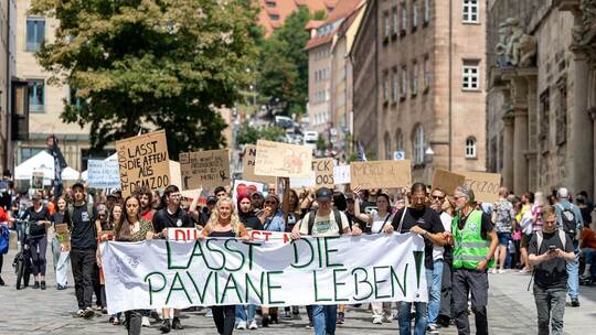 Demonstration gegen die geplante Tötung von Pavianen Demonstration gegen die geplante Tötung von Pavianen