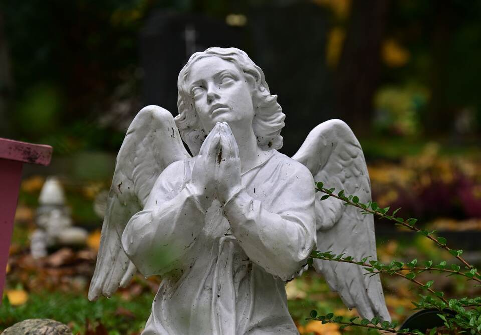 Friedhof in Erfurt