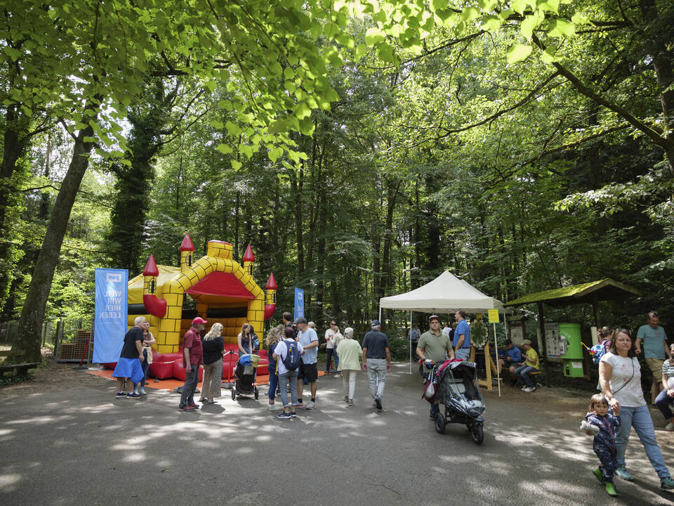 Das Sommerfest im Wildpark ist ideal für Familien. Daniela Samsony